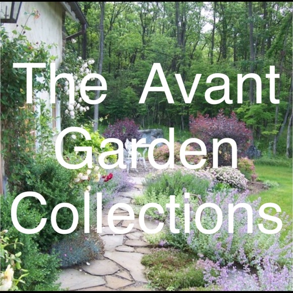 Meet your Posher, Marantha - Picture 2 of 8